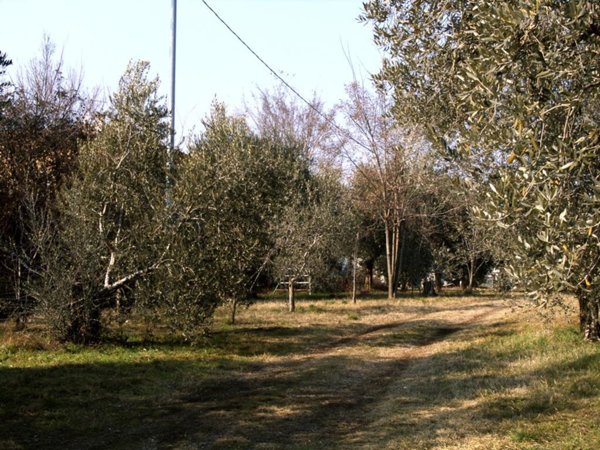terreno agricolo in vendita a Manerba del Garda