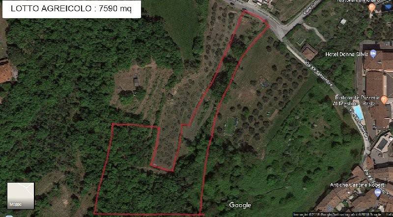 terreno agricolo in vendita a Manerba del Garda