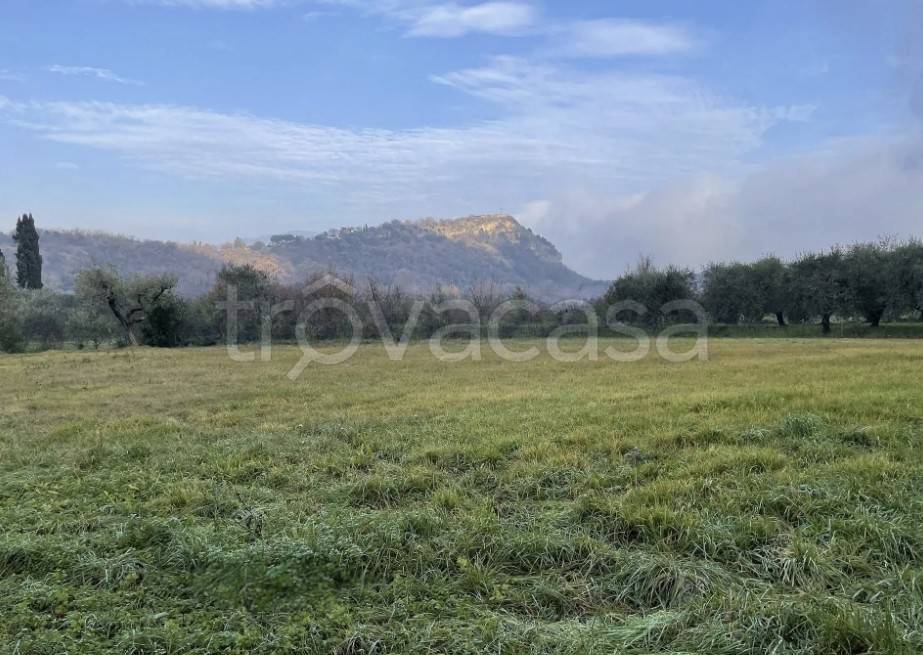 terreno agricolo in vendita a Manerba del Garda in zona Solarolo
