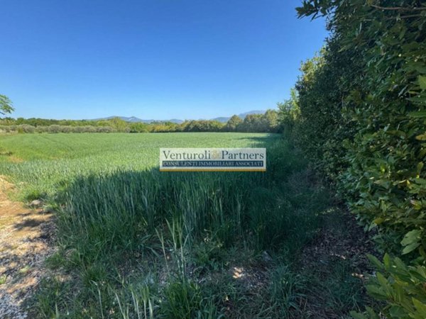 terreno agricolo in vendita a Manerba del Garda in zona Solarolo