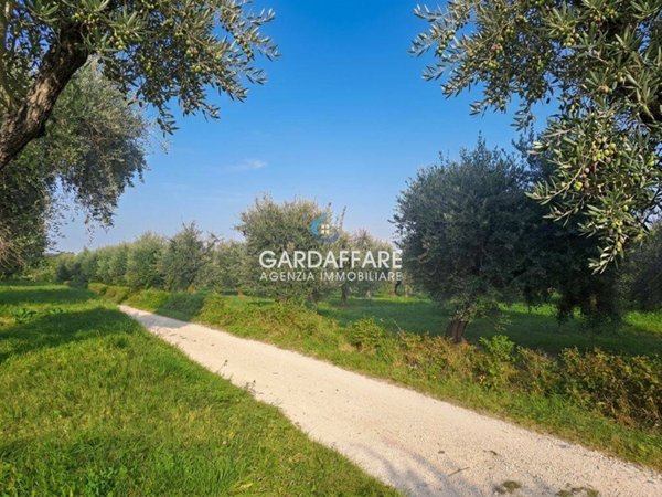terreno agricolo in vendita a Manerba del Garda in zona Montinelle