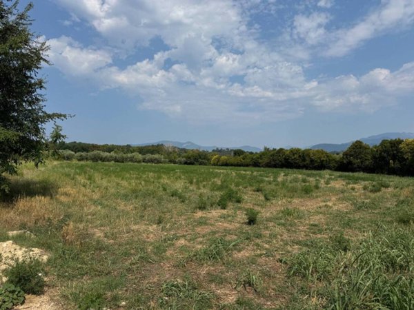 terreno agricolo in vendita a Manerba del Garda in zona Pieve Vecchia