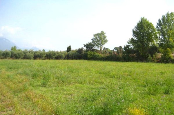 terreno agricolo in vendita a Manerba del Garda in zona Crociale