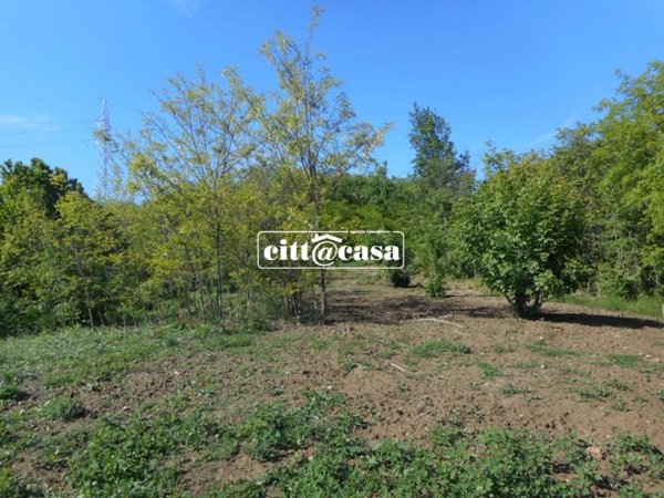 terreno agricolo in vendita a Cavagnolo