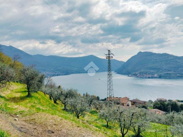 terreno agricolo in vendita a Marone