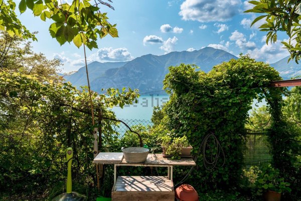 terreno agricolo in vendita a Marone