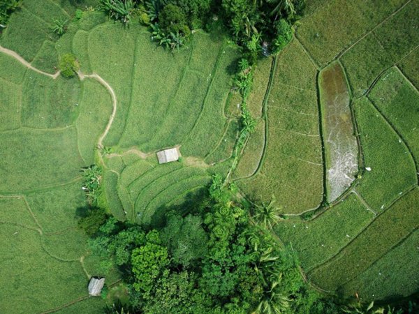 negozio in vendita a Mazzano