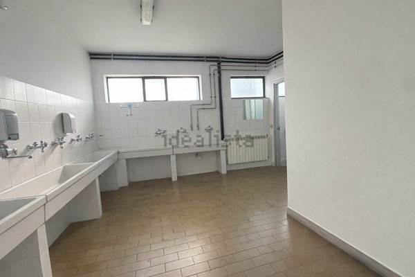 immagine annuncio 0 di 1