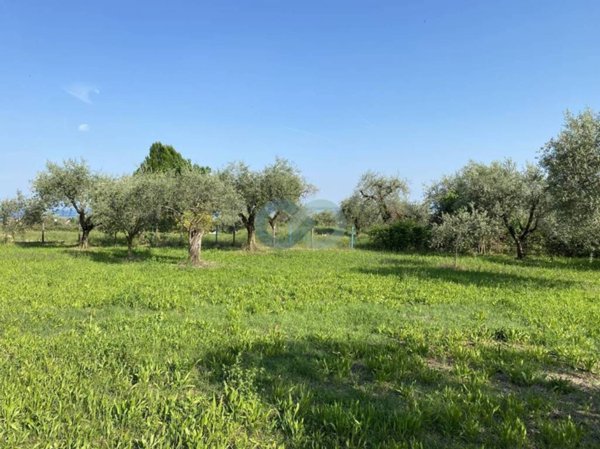 terreno agricolo in vendita a Moniga del Garda