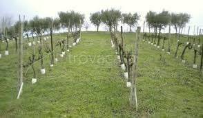 terreno agricolo in vendita a Moniga del Garda