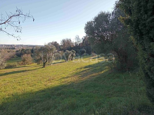 terreno agricolo in vendita a Moniga del Garda
