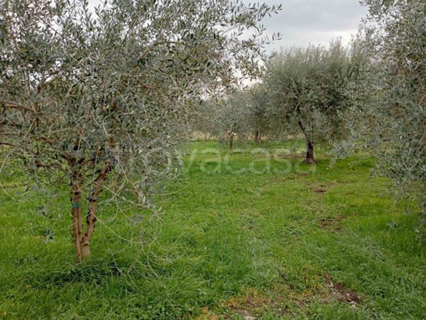terreno agricolo in vendita a Moniga del Garda