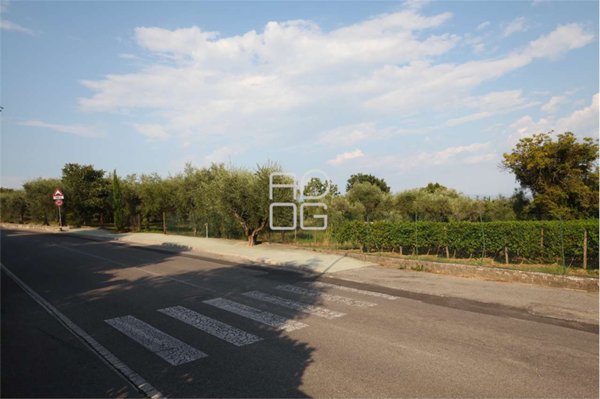 terreno agricolo in vendita a Moniga del Garda