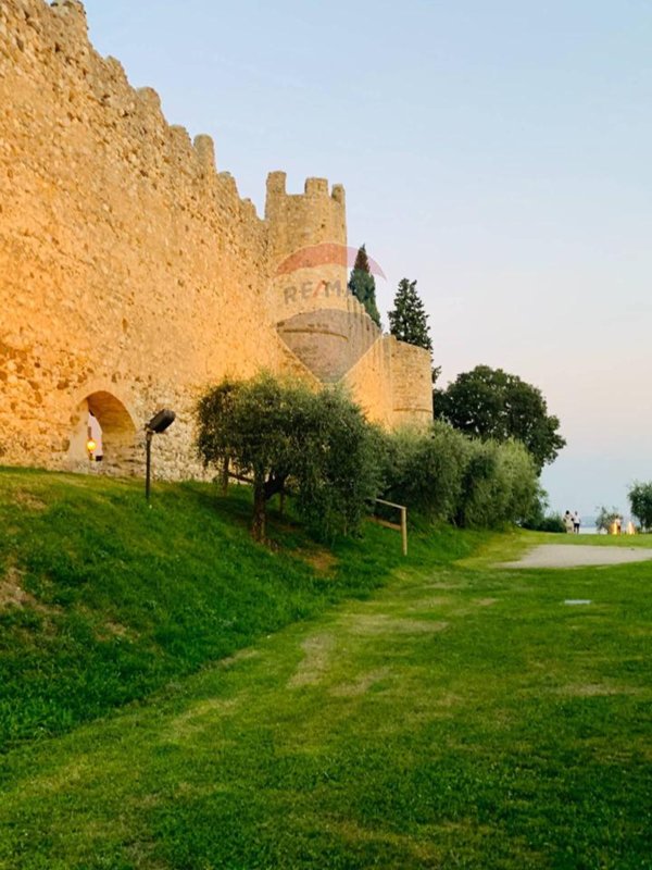 casa indipendente in vendita a Moniga del Garda