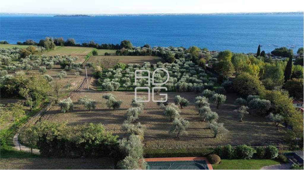 terreno agricolo in vendita a Moniga del Garda
