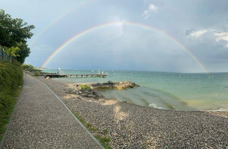 appartamento in vendita a Moniga del Garda