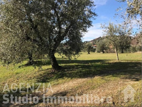 terreno agricolo in vendita a Moniga del Garda