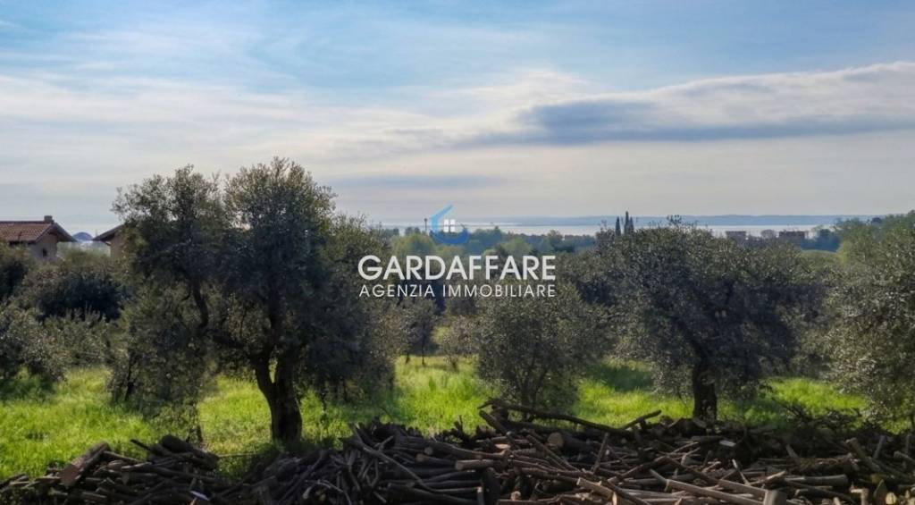 terreno agricolo in vendita a Moniga del Garda