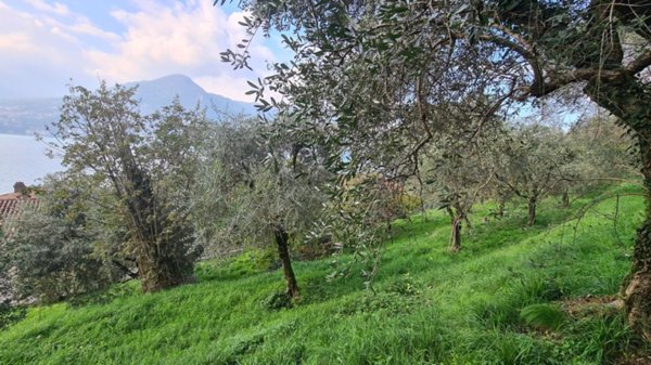 negozio in vendita a Monte Isola