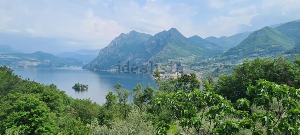 appartamento in vendita a Monte Isola