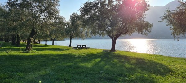 appartamento in vendita a Monte Isola
