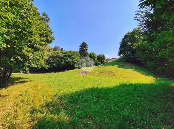 terreno agricolo in vendita a Monte Isola in zona Cure