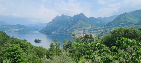 appartamento in vendita a Monte Isola