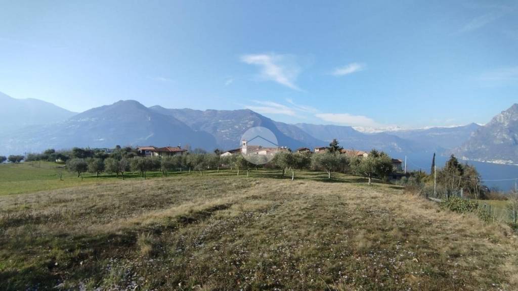 terreno agricolo in vendita a Monte Isola in zona Masse