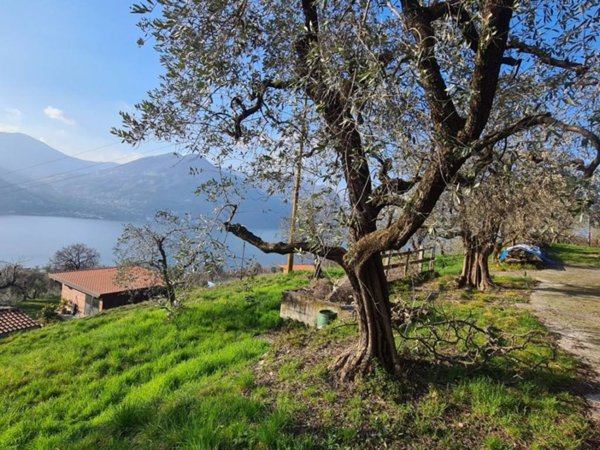 terreno agricolo in vendita a Monte Isola