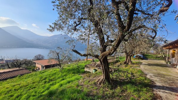 terreno agricolo in vendita a Monte Isola