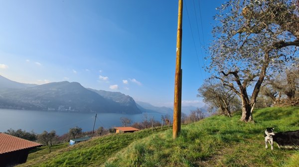 terreno agricolo in vendita a Monte Isola in zona Senzano