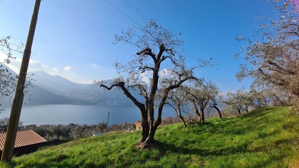villa in vendita a Monte Isola