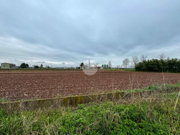 terreno edificabile in vendita a Montichiari in zona Sant'Antonio