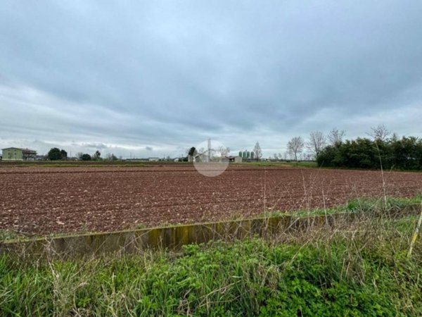 terreno agricolo in vendita a Montichiari in zona Sant'Antonio