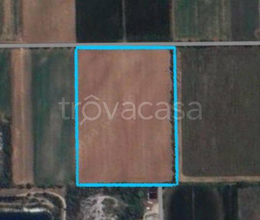 terreno agricolo in vendita a Montichiari