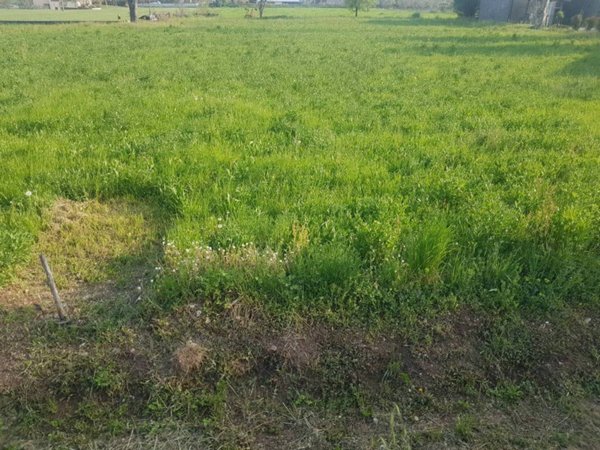 terreno edificabile in vendita a Montichiari in zona Sant'Antonio