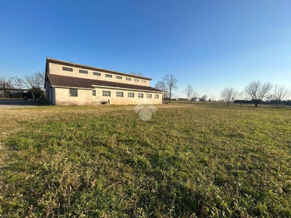 terreno agricolo in vendita a Montichiari in zona Rò