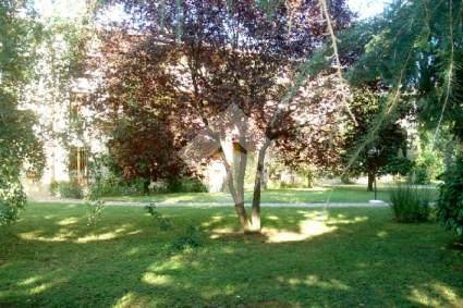 appartamento in vendita a Montichiari