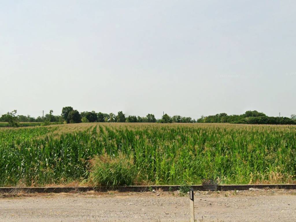terreno agricolo in vendita a Montichiari