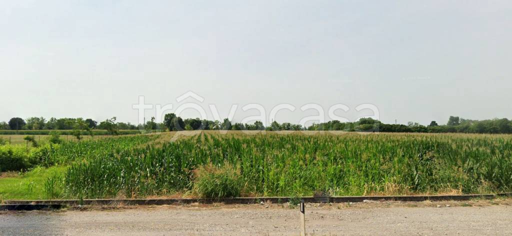 terreno agricolo in vendita a Montichiari in zona Sant'Antonio