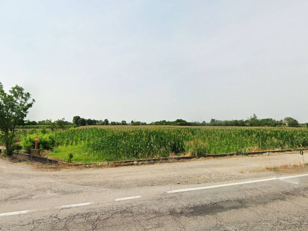 terreno agricolo in vendita a Montichiari