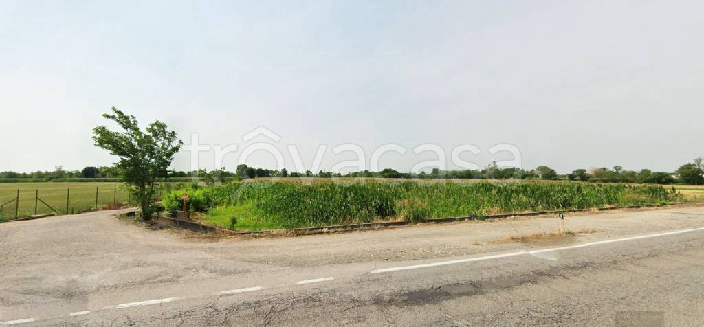 terreno agricolo in vendita a Montichiari in zona Sant'Antonio