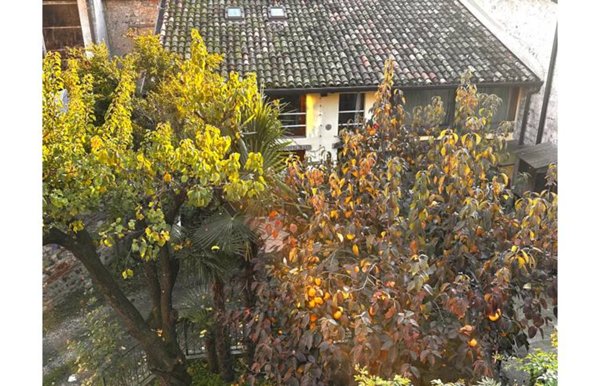 casa indipendente in vendita a Montichiari