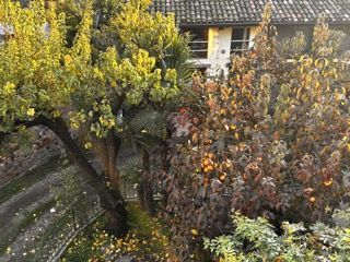 casa indipendente in vendita a Montichiari in zona Centro Storico