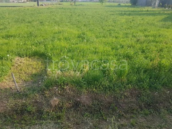 terreno edificabile in vendita a Montichiari in zona Sant'Antonio