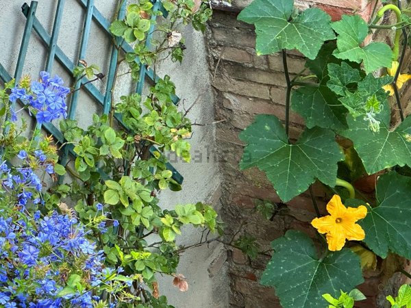 casa indipendente in vendita a Montichiari in zona Centro Storico