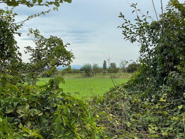 terreno agricolo in vendita a Montichiari in zona Novagli