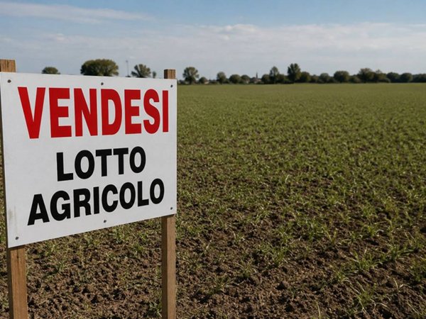 terreno agricolo in vendita a Montichiari in zona Sant'Antonio