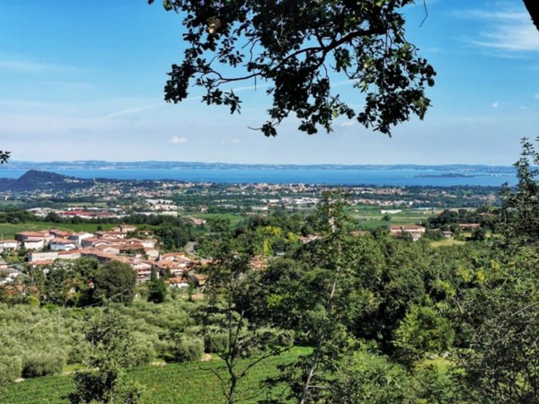 casa indipendente in vendita a Muscoline