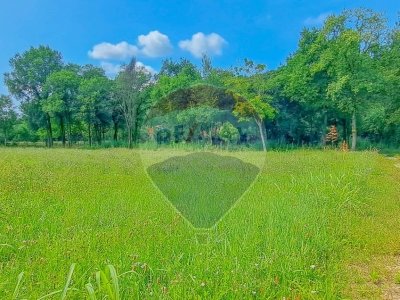 terreno edificabile in vendita a Muscoline